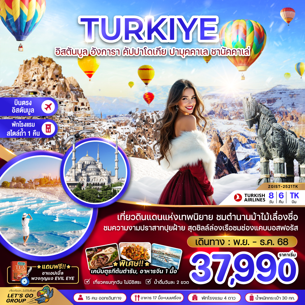 ทัวร์ตุรเคีย WINTER อิสตันบูล อังการา คัปปาโดเกีย ปามุคคาเล่ ซานัคคาเล 8วัน 6คืน (TK)
