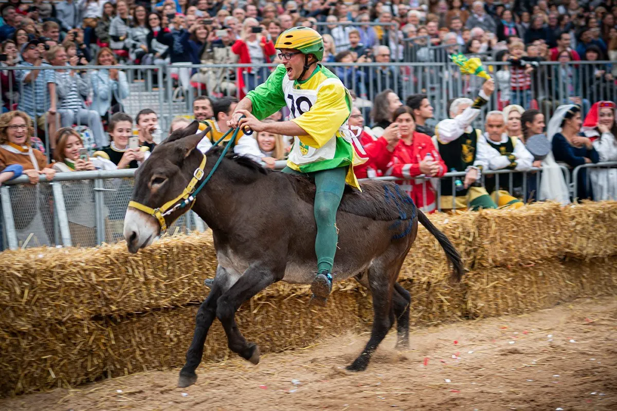Donkey palio and historical parade