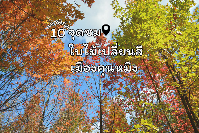 10 พิกัดชมใบไม้เปลี่ยนสีเมืองคุนหมิง