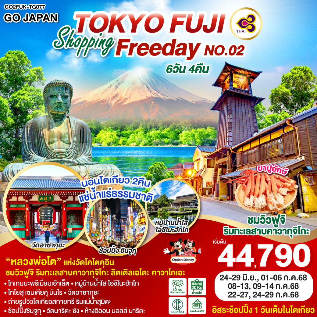 ทัวร์ญี่ปุ่น TOKYO FUJI SHOPPING FREE DAY NO.02 6วัน 4คืน (TG)