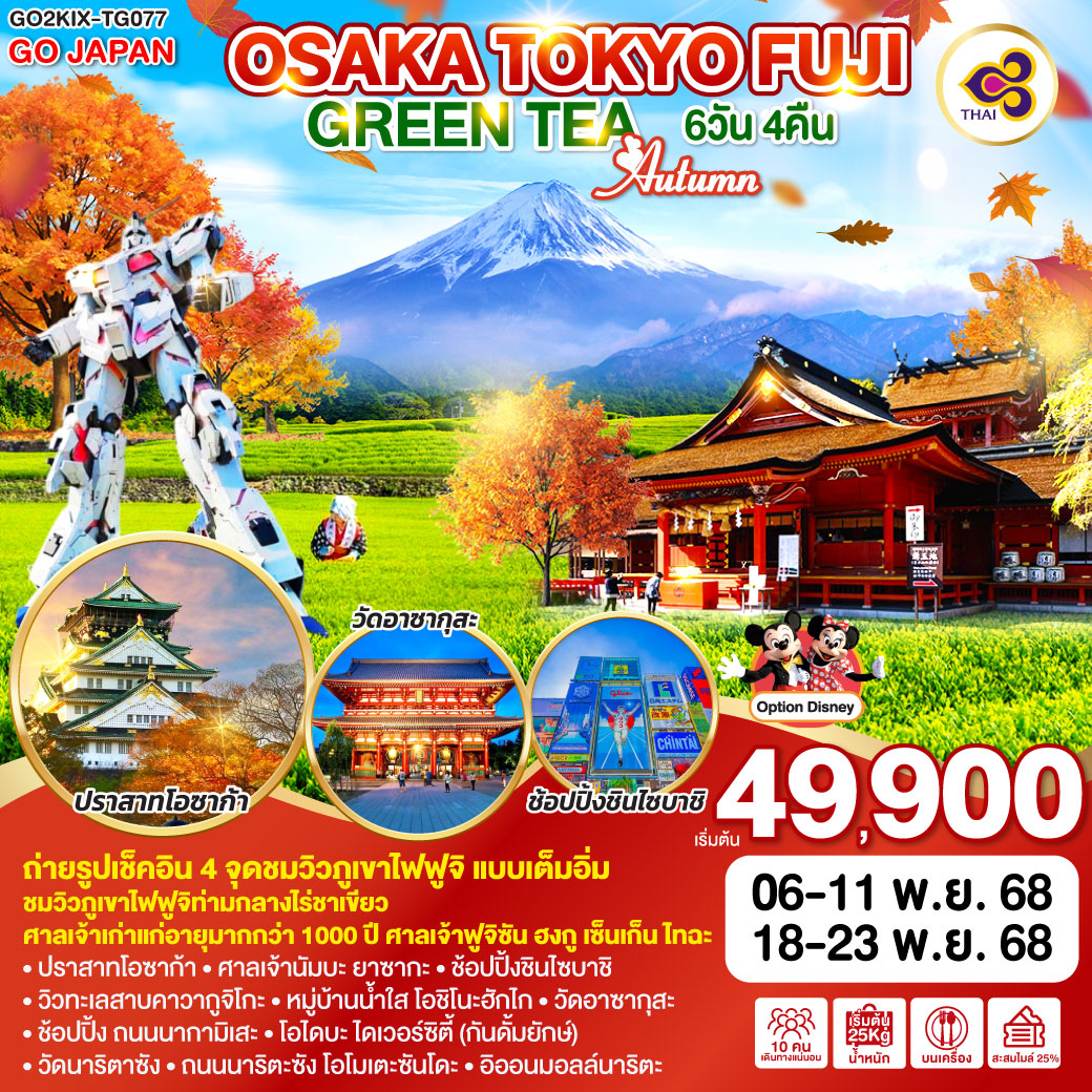ทัวร์ญี่ปุ่น OSAKA TOKYO FUJI GREEN TEA AUTUMN 6วัน 4คืน (TG)