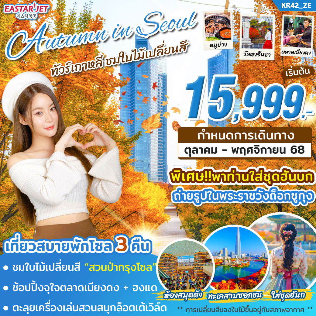 ทัวร์เกาหลี AUTUMN IN SEOUL 5วัน 3คืน (ZE)